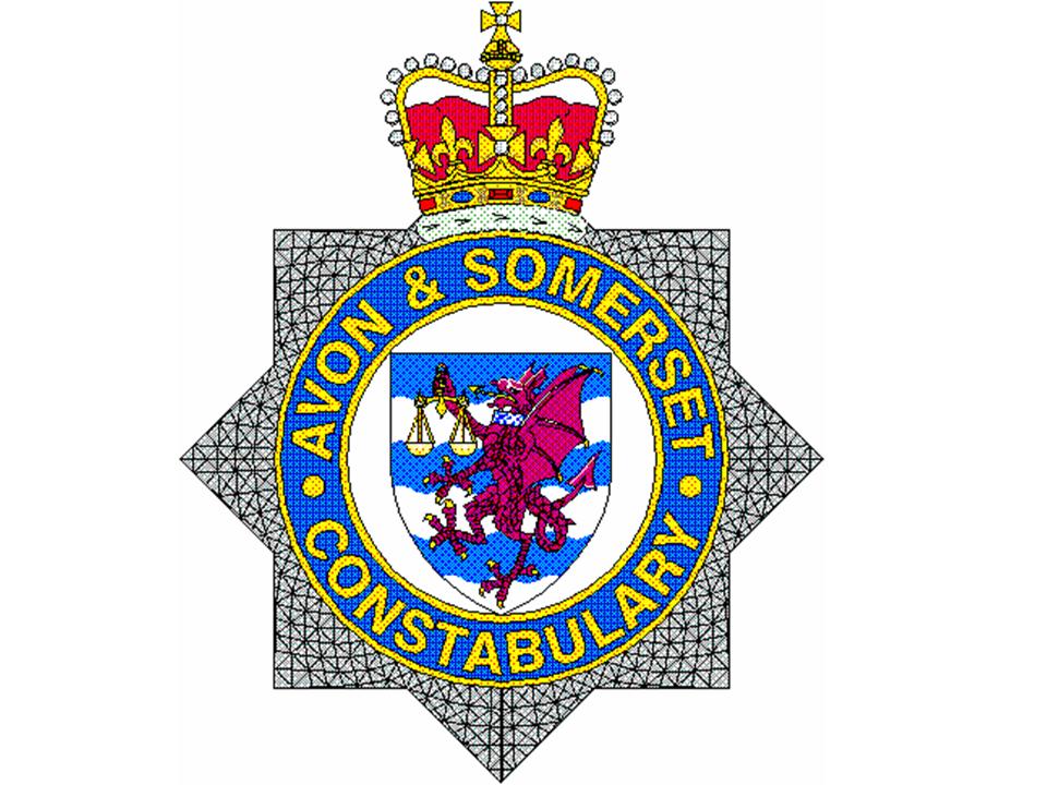 * Avon & Somerset police crest DECAL choice of sets IDEAL FOR  CODE 3 MODELs