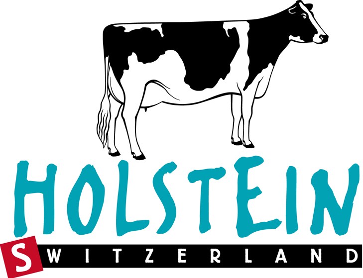 Holstein Logos