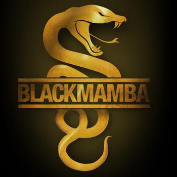 Black Mamba 3d Wallpaper Image Num 46
