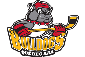 Quebec bulldogs Logos