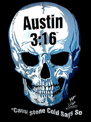 3.3 2016. Стив Остин 3 16. Стив Остин череп. Stone Cold 3 16. Austin 3:16 logo.