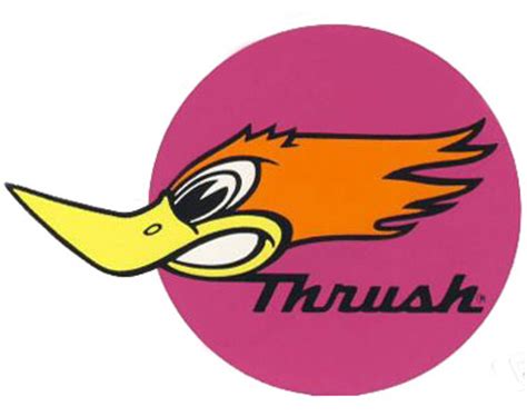 Thrush exhaust. 