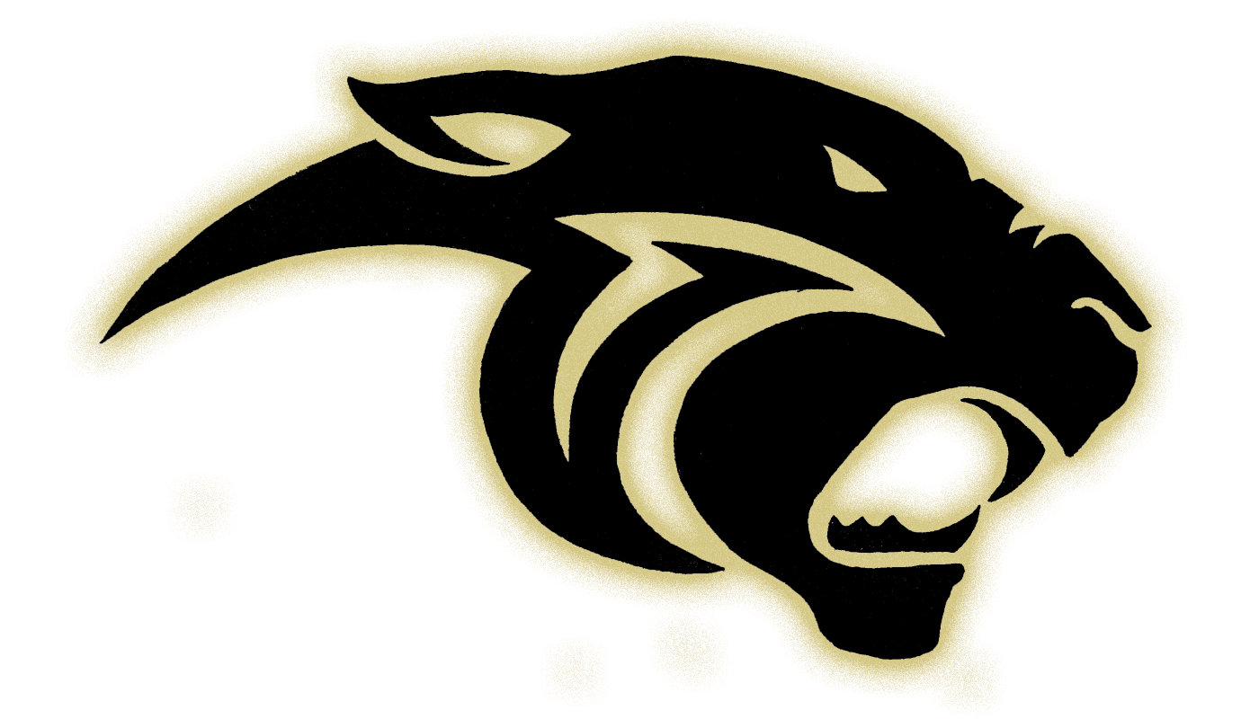 Panthers Logos