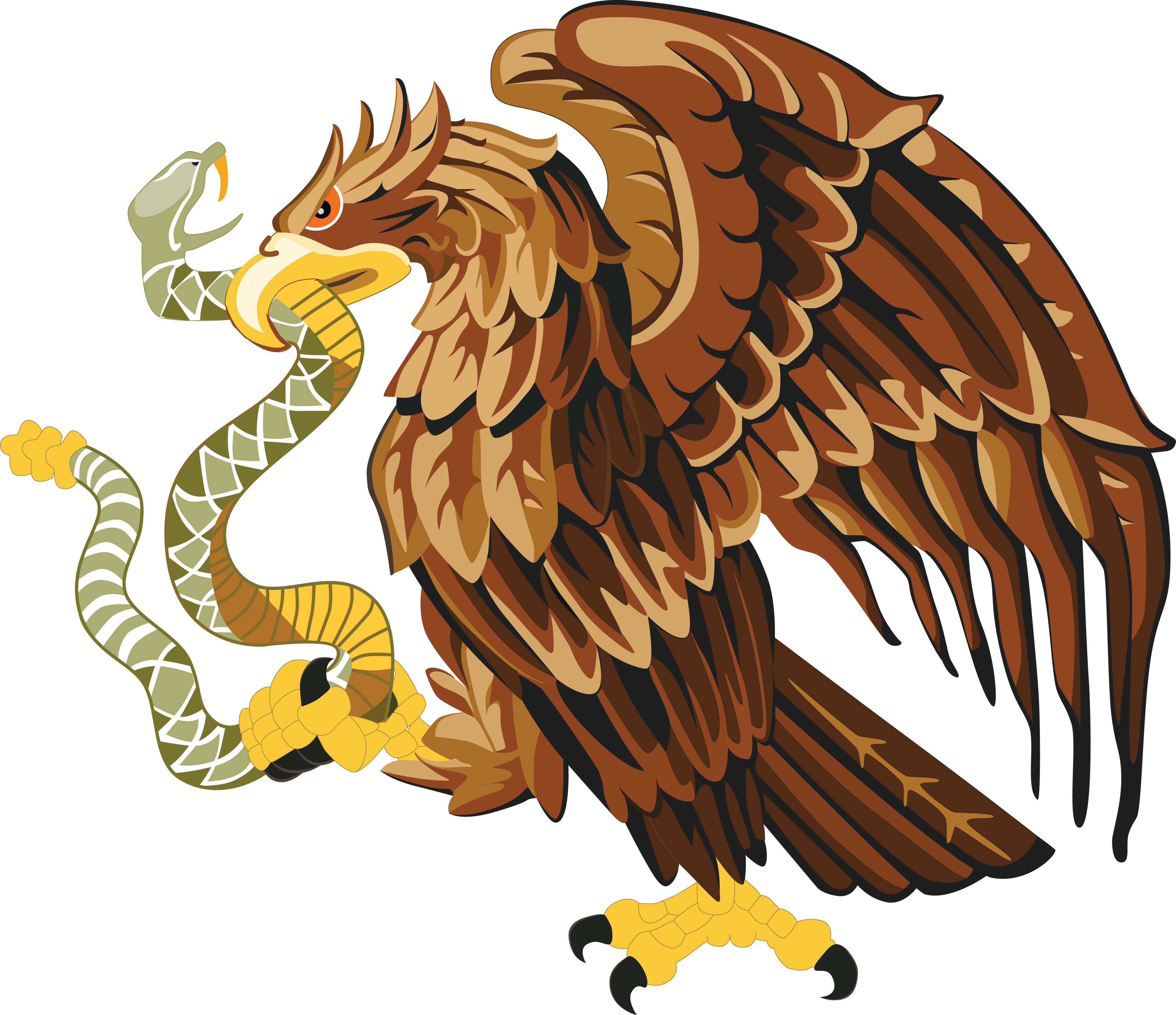 Mexican Flag Eagle Png Aguila De Mexico Vector Png Im - vrogue.co