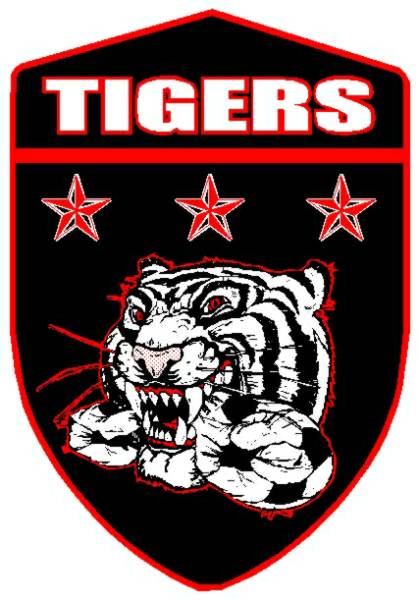 Warsaw tigers Logos