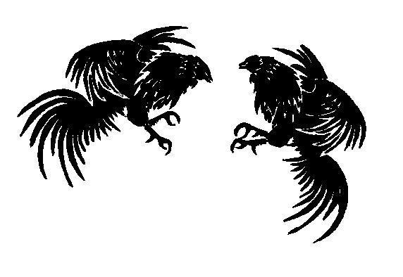 Game Cock Rooster Sparing Fighting Dixie Rebel Decal. 