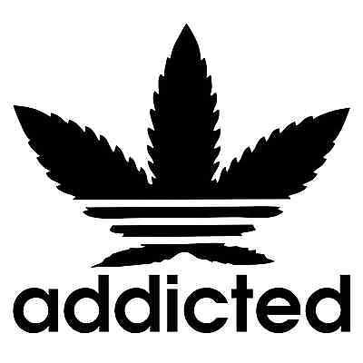 adidas weed logo hoodie