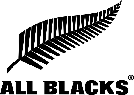 NEW ZEALAND RUGBY UNION 33888 ALL BLACKS BLACK LOGO PIN FEATURING SILVER FERN 