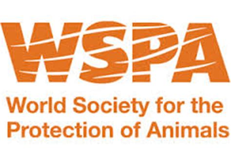 World society. Международное общество защиты животных. Всемирное общество защиты животных (ВОЗЖ). WSPA логотип. Всемирное общество защиты животных эмблема.