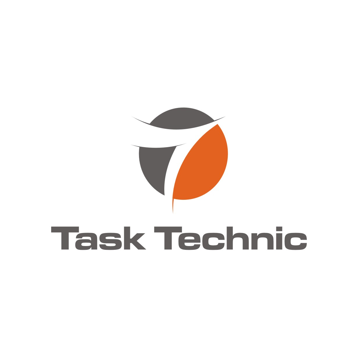 logo design task