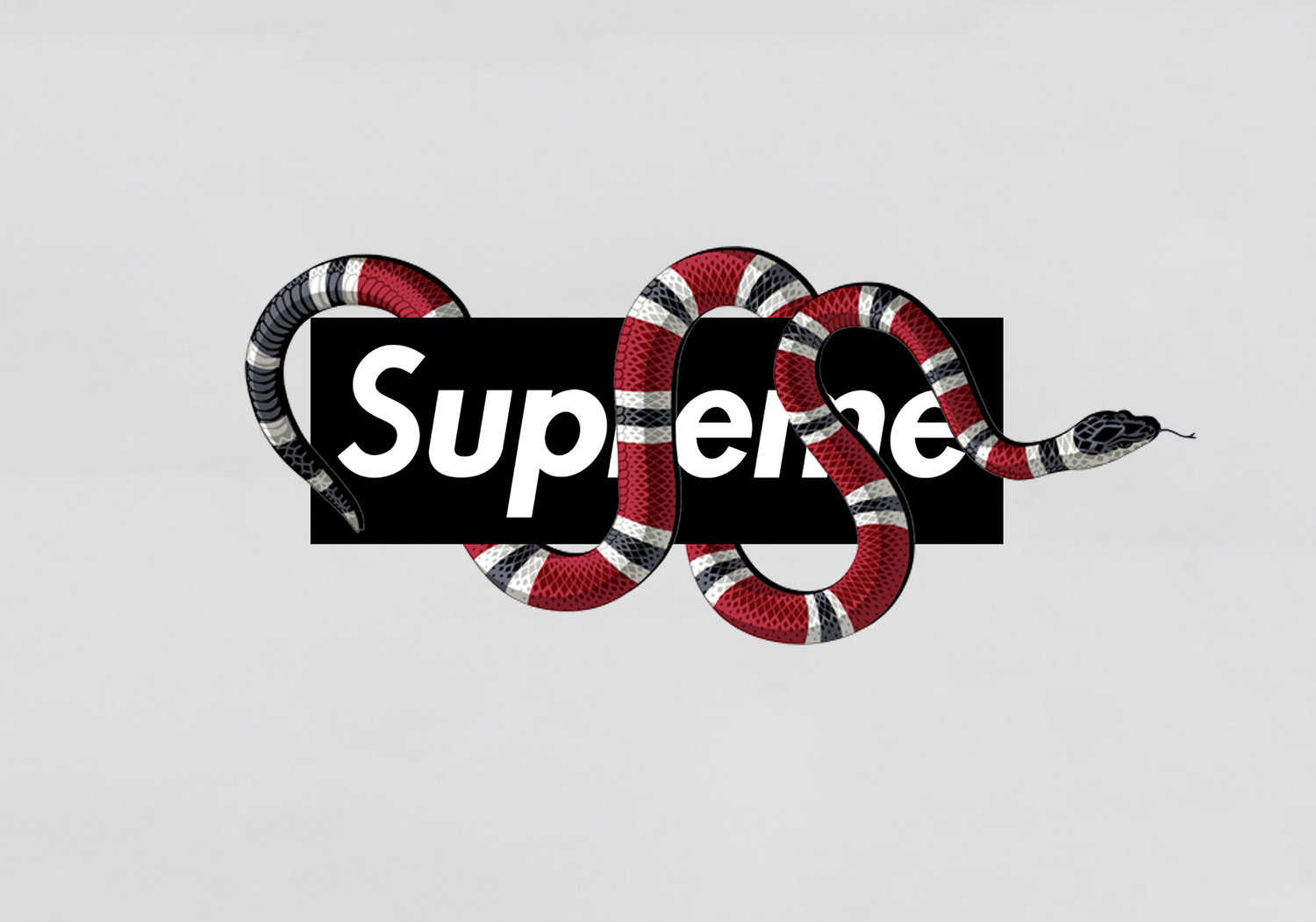 gucci snake logo