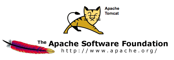 Apache tomcat server