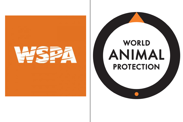 World society. Всемирное общество защиты животных. WSPA всемирное общество защиты животных. Всемирное общество защиты животных логотип. WSPA логотип.
