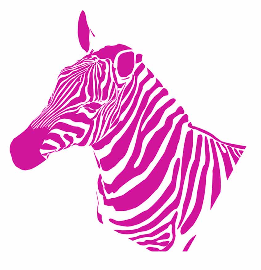 Pink zebra. 