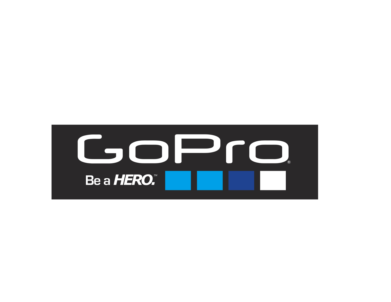 Gopro Logos