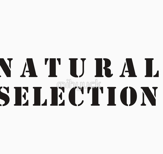 Натурал групп. Natural selection надпись. Natural selection Shirt. Футболка natural selection. Natural selection группа.