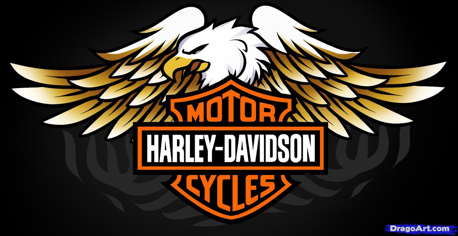 34 Harley Davidson Eagle Logo Pin Logo Icon