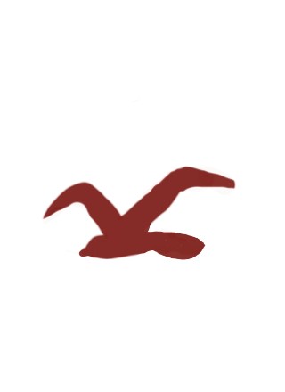 hollister symbol bird