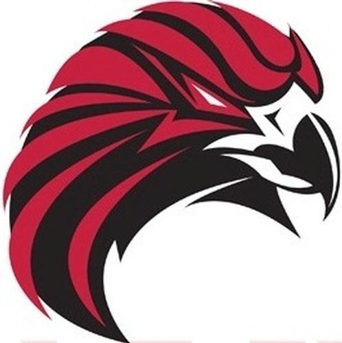 Falcons baseball Logos