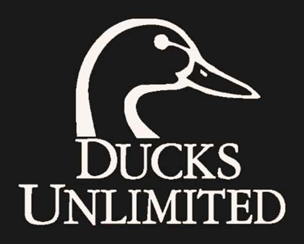 Ducks unlimited. 