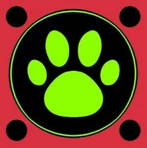Illussion Miraculous Cat Noir Logo