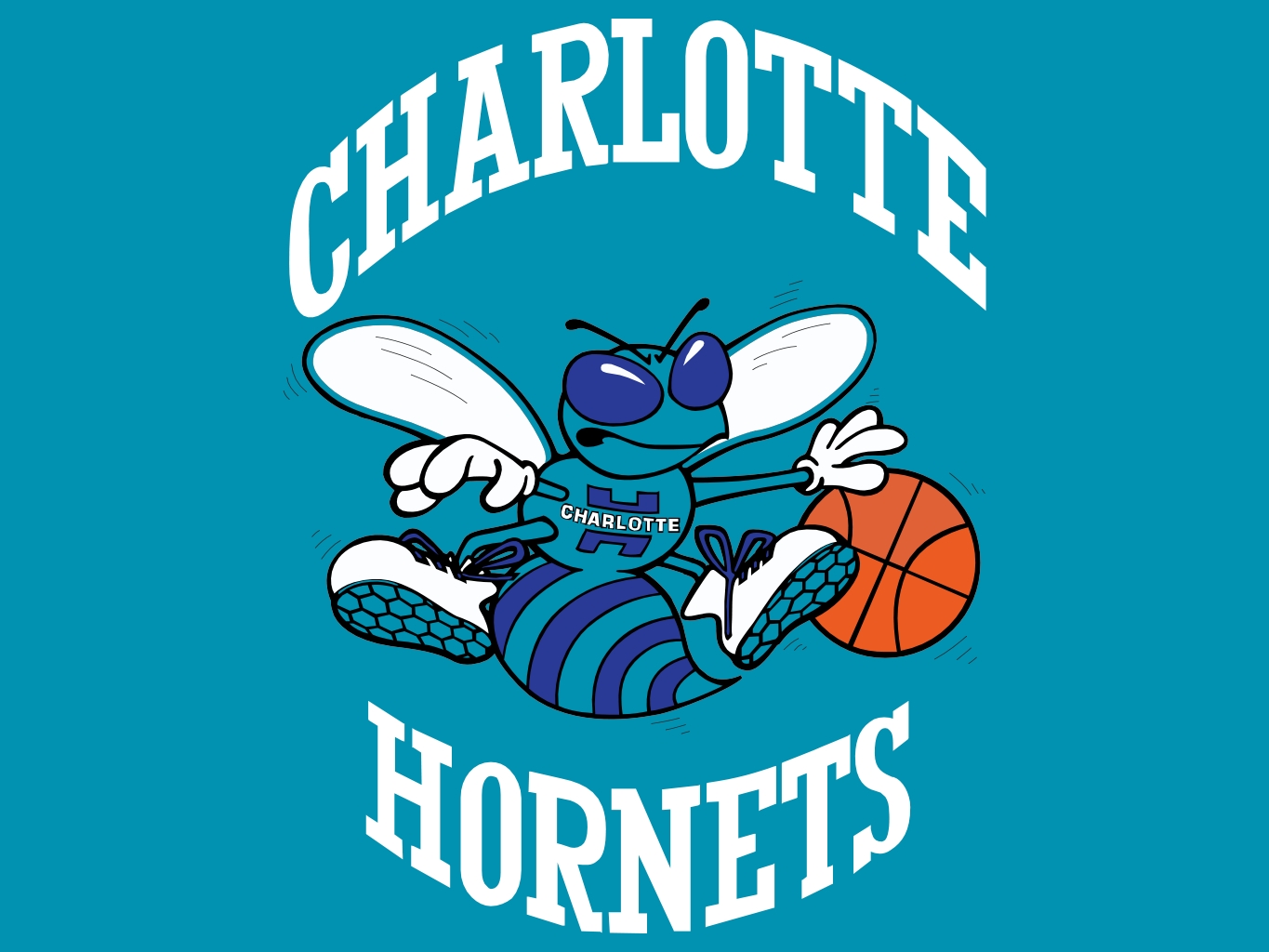 old school charlotte hornets jersey