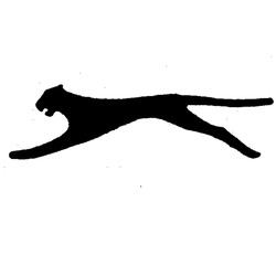 slazenger puma logo