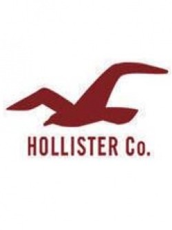 hollister symbol