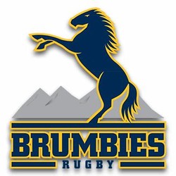 brumbies rugby logos bleacher report scores latest logo team logolynx