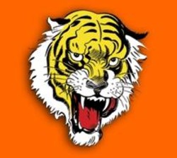 Shiv Sena Tiger Logos