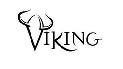 Raines vikings Logos